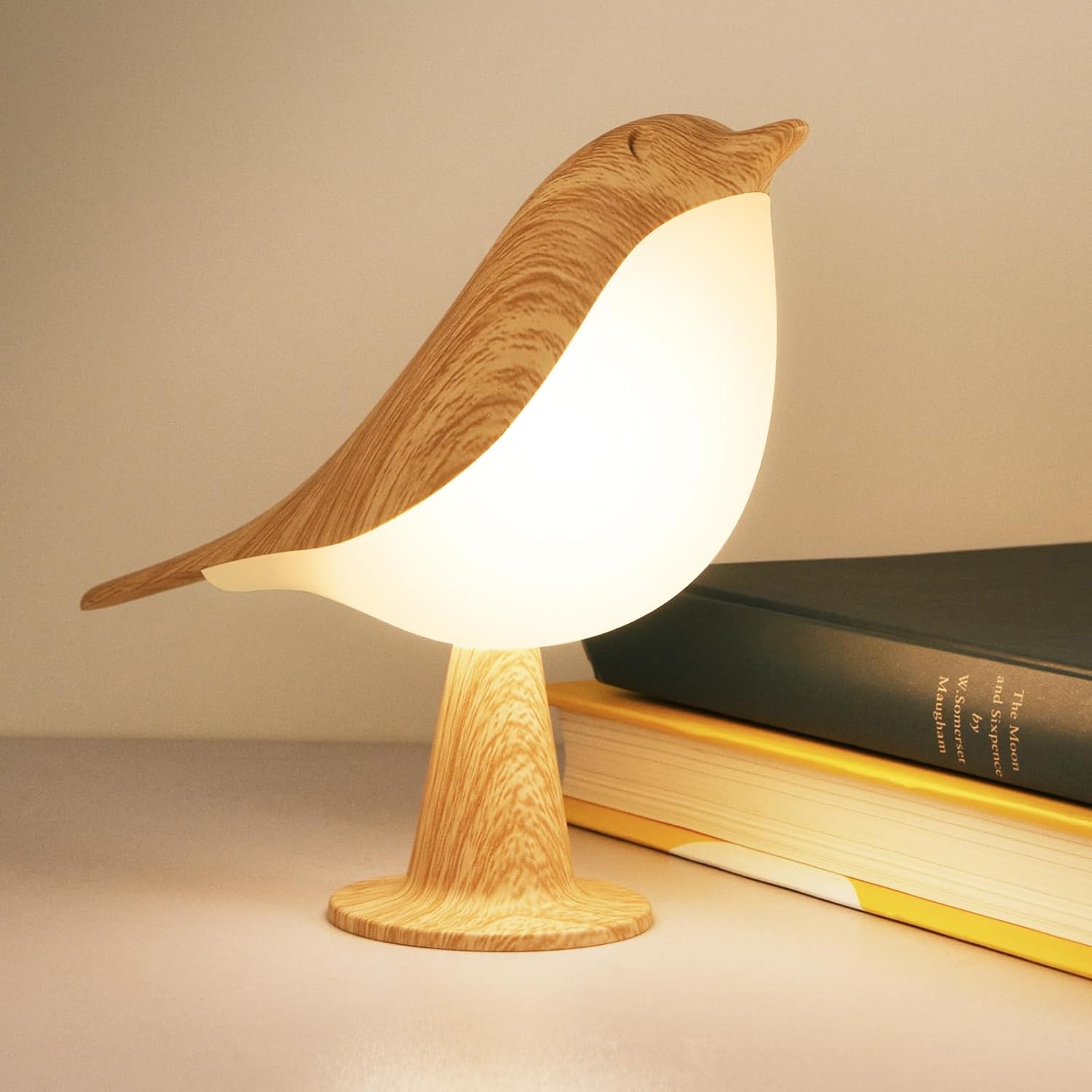 Cordless Lamp