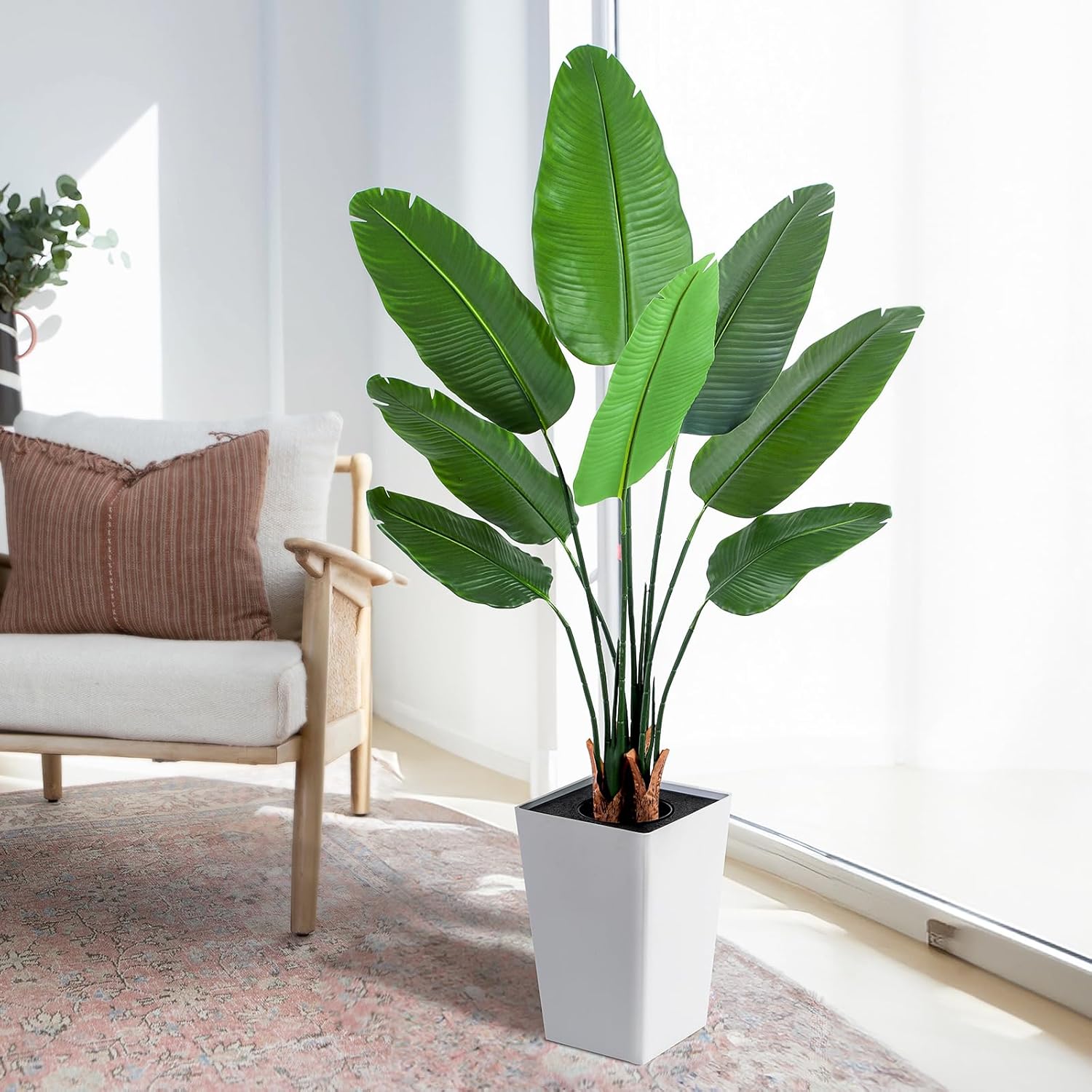 white bird of paradise plant
